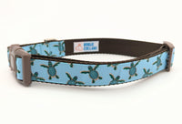 Sea Turtle Dog Collar