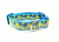 Star Fruit Dog Collar