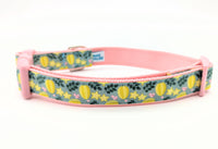 Star Fruit Dog Collar