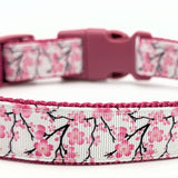 Pink Cherry Blossom & Branches Dog Collar - Spring Floral Design
