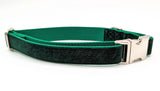 Evergreen Velvet LARGE Dog Collar - Ready to Ship