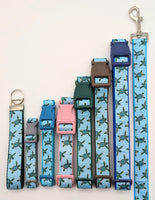 Sea Turtle Dog Collar