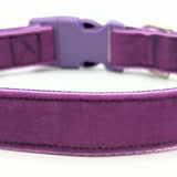 Purple Velvet Dog Collar - Made to Order