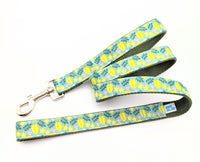Star Fruit Dog Collar