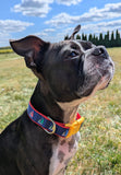 Sailboat Dog Collar - Handmade Nautical Design on Durable Nylon Webbing