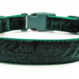 Evergreen Velvet MEDIUM Dog Collar - Ready to Ship