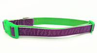 Purple Velvet Dog Collar - Made to Order