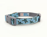 Sea Turtle Dog Collar