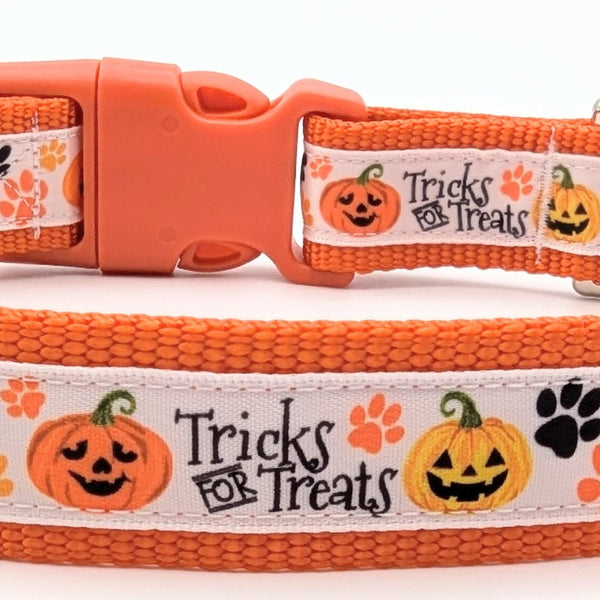 Tricks for Treats Dog Collar - Main Image