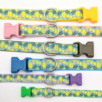 Star Fruit Dog Collar