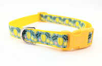 Star Fruit Dog Collar