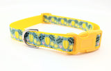 Star Fruit Dog Collar