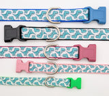 A row of dog collars with seafoam green cartoon dinosaur patterns displayed in various sizes and colors