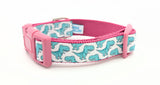Dog collar featuring seafoam green cartoon T-Rex dinosaurs on a white ribbon, sewn onto raspberry nylon webbing and with a raspberry side-release buckle.