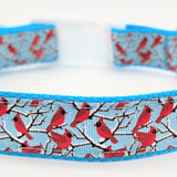 Handmade Winter Cardinal dog collar featuring red birds on snowy branches ribbon against a light blue nylon background.