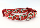 Strawberry Dog Collar