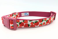 Strawberry Dog Collar