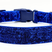 royal blue sparkle collar with royal blue nylon underneath the sparkles and a navy blue buckle