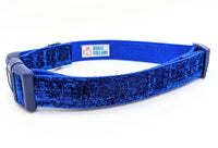 Royal Blue Sparkle Dog Collar