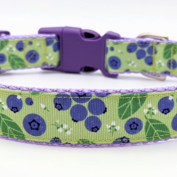 Blueberry Dog Collar - Main Image