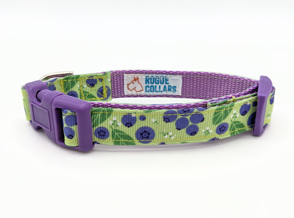 Blueberry Pet Essentials 21 Colors Classic Dog Collar, Royal Blue, X-Small,  Neck 8-11, Nylon Collars for Dogs