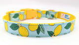 Lemon Tree Dog Collar