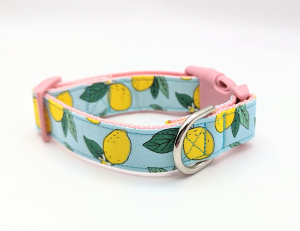 Lemon Tree Dog Collar
