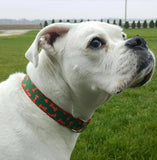Christmas Dog Bones Dog Collar