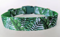Palm Leaves Dog Collar