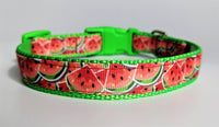 Watermelon Dog Collar