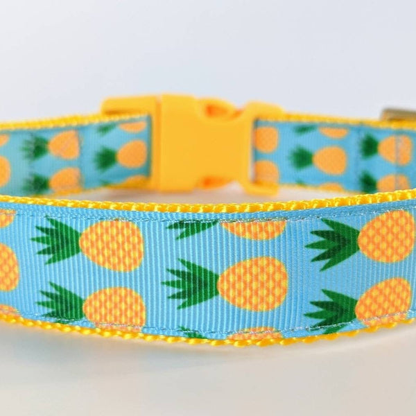 Pineapple Dog Collar