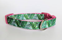Palm Leaves Dog Collar