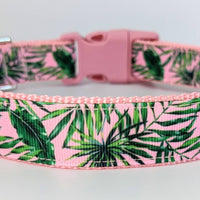 Pink Palm Leaves Dog Collar