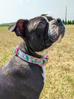 Pink Palm Leaves Dog Collar