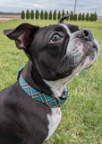 Teal Green Tartan Plaid Dog Collar