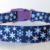 Winter Snowflakes Dog Collar