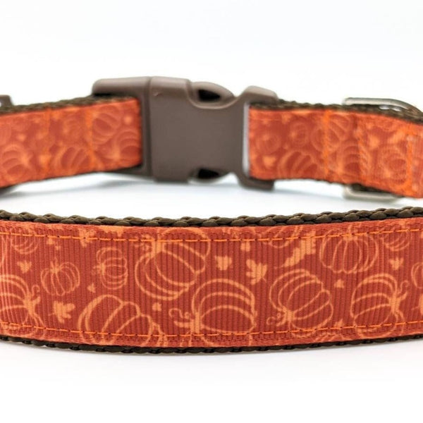 Pumpkin Patch Dog Collar – Rogue Collars - Main Image