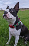 Christmas Leopard Print Dog Collar