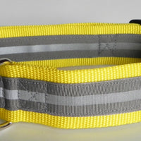 Grey Reflective Safety 1.5 Inch Wide Dog Collar